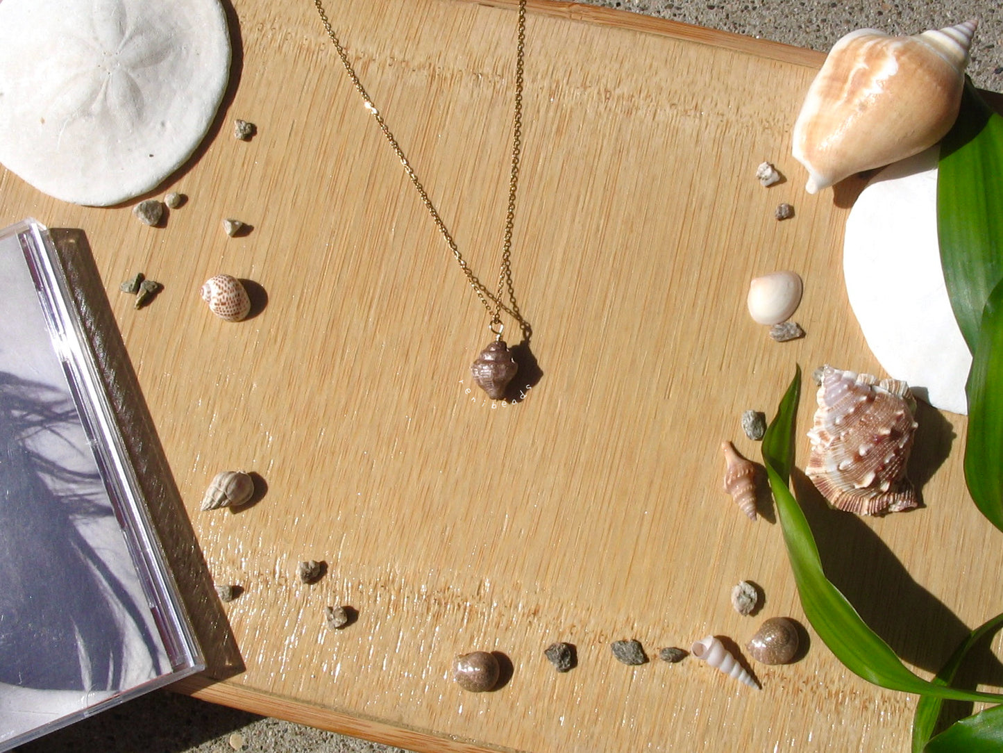 Brown Conch Necklace