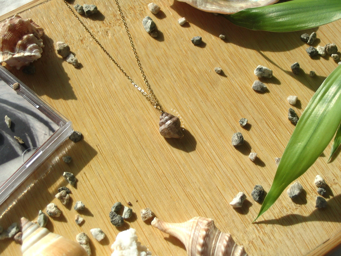 Brown Conch Necklace